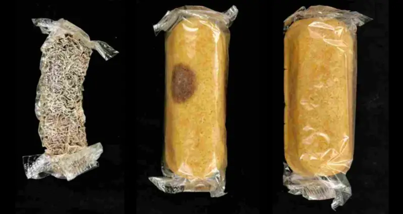 Mystery Fungus Found On Eight-Year-Old Twinkie Turned The Snack Into A Mummy