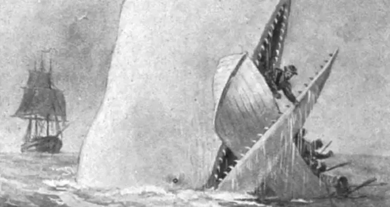 The Harrowing Story Of The Whaleship ‘Essex’ That Inspired ‘Moby Dick’