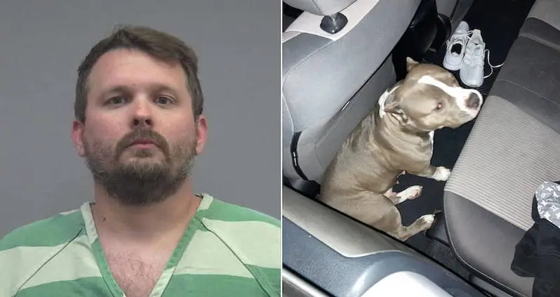 Ex-Florida Con Charged In Scheme To Dognap Pitbull For $25,000 Ransom