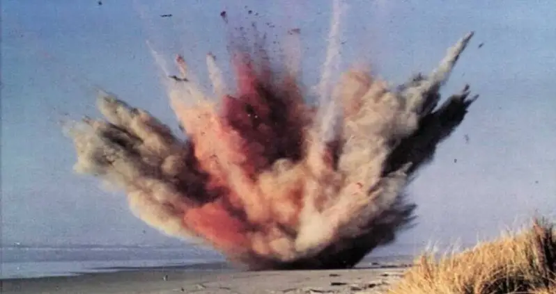 The Story Of Oregon’s Exploding Whale And The Wild Footage Left Behind