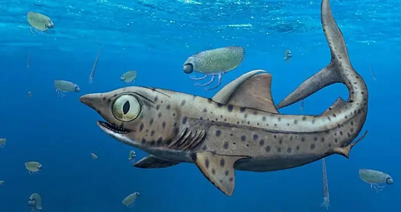 This 370-Million-Year-Old Shark Rotated Its Jaw To Hunt With Its Sharpest Teeth