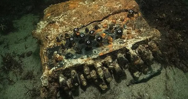 Lost Nazi Enigma Machine Discovered In Baltic Sea By Diving Clean-Up Crew