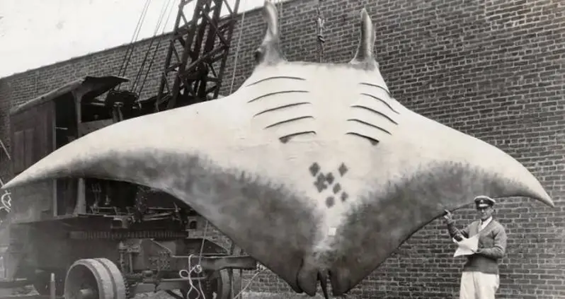 55 Weird Pictures From The Internet’s Catalog Of Humanity’s Past