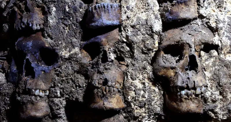 Archaeologists Unearth 119 More Skulls At 14th-Century Aztec Temple In Mexico City