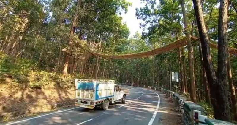 This 90-Foot ‘Eco Bridge’ Will Help Animals Cross A Busy Indian Highway