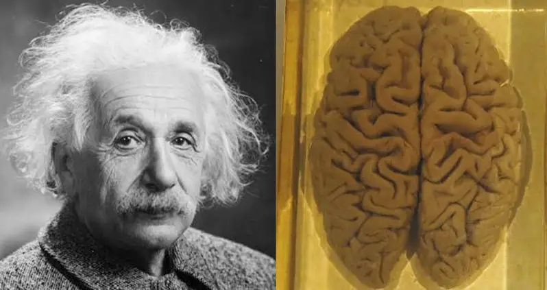 Inside The Death Of Albert Einstein — And The Strange Afterlife Of His Brain