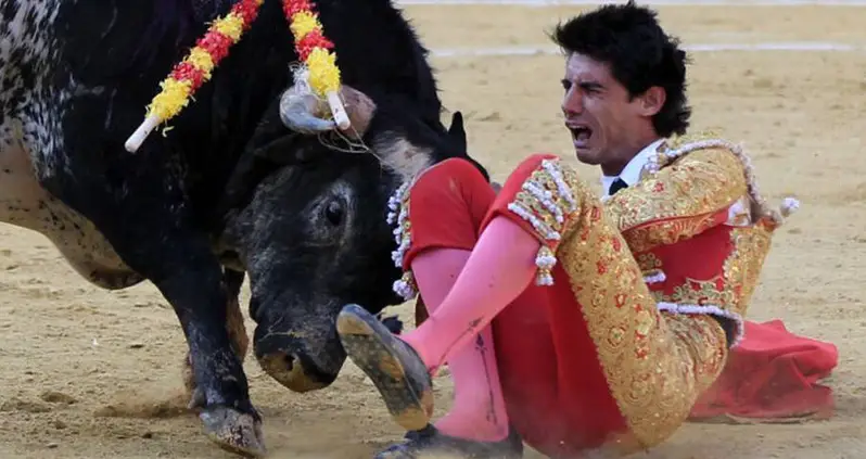 How The Death Of Champion Matador Víctor Barrio Might Spell The End Of Spanish Bullfighting