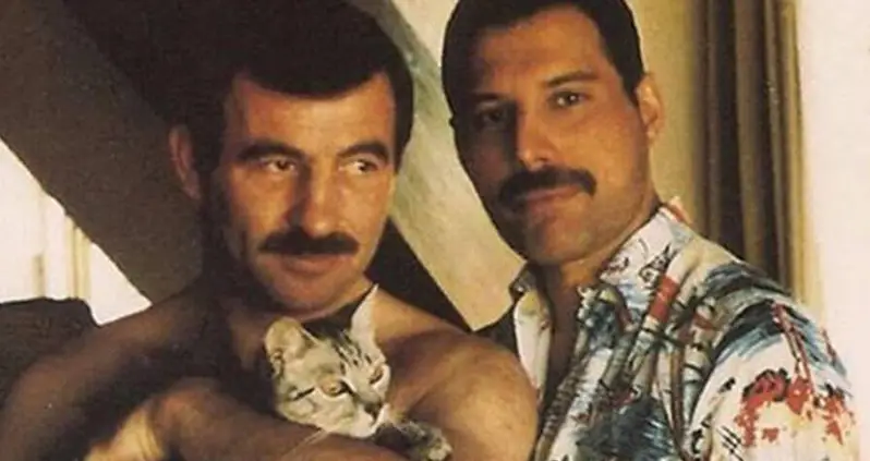 These 13 Photos Of Freddie Mercury’s Cat Obsession Will Melt Your Heart