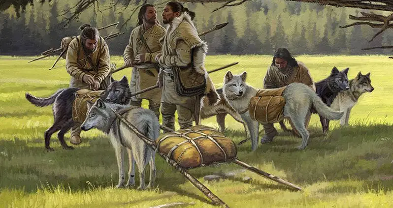 First Settlers In The Americas Brought Domesticated Wolves With Them, Study Says