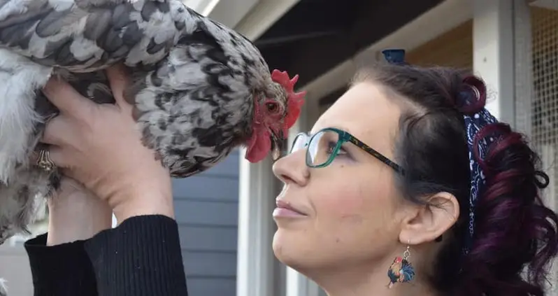 Colorado Woman Spends $10,000 To Save Her Beloved Pet Chicken’s Life