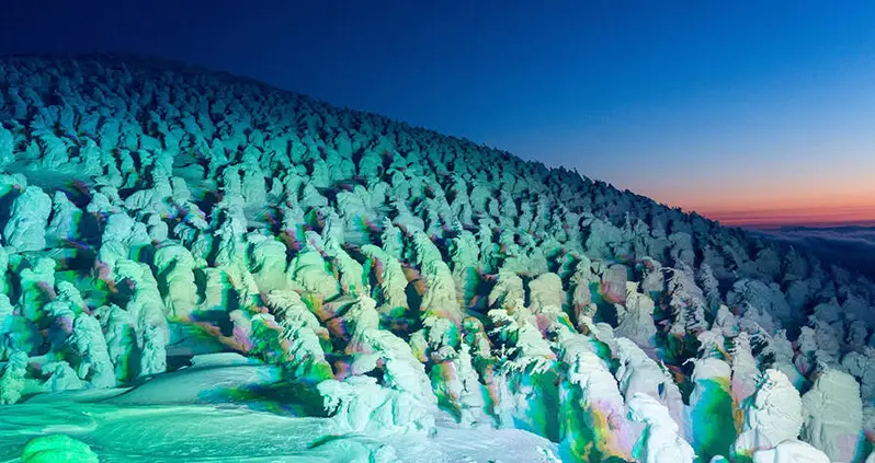 Discover The Beautiful Snow Monsters That Inhabit Japan’s Mount Zaō