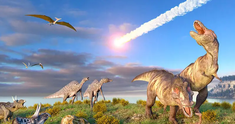 Dinosaurs Were Killed By A Comet From A Deep Space Cloud Of Icy Debris, Harvard Study Says