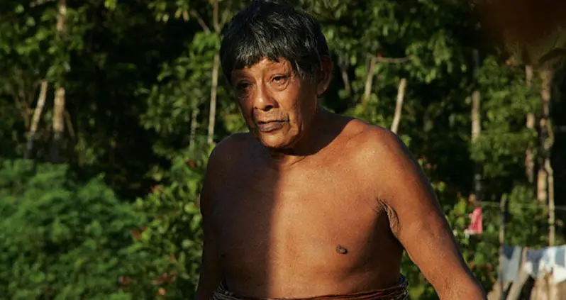 Last Surviving Man Of Amazonian Tribe Dies From COVID-19 — Likely Spread By Invading Loggers