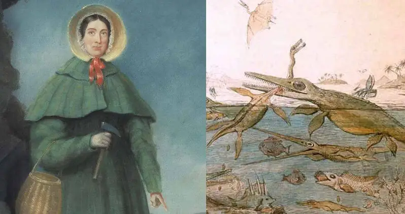 Meet Mary Anning, The Fearless Fossil Hunter Who Got Left Out Of The History Books