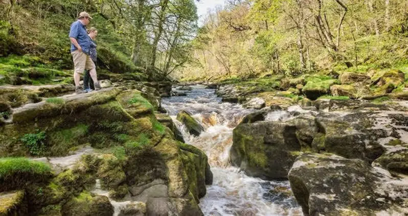 The Story Of England’s Bucolic Bolton Strid, One Of The Deadliest Waterways In The World
