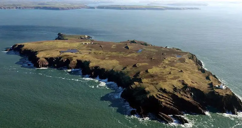 Rabbits Burrowing On A Remote Welsh Island Just Uncovered A Trove Of Stone Age Artifacts