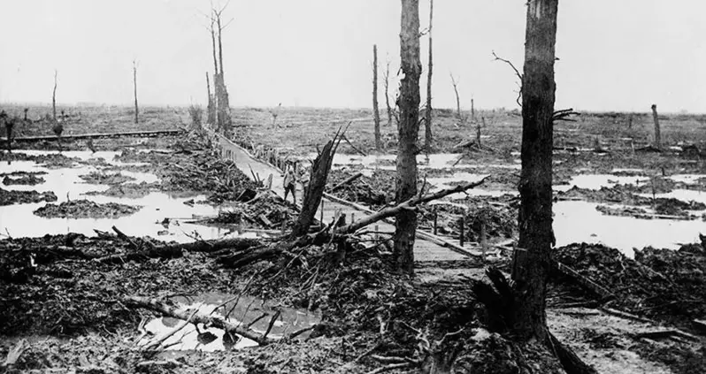 Amateur Historians Uncover Long-Lost WWI Tunnel In France Where 270 Germans Were Buried Alive