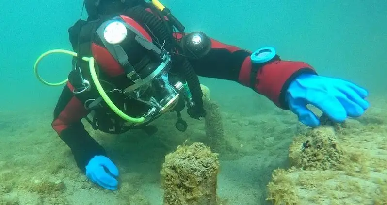 Divers Discover A 3,000-Year-Old Sunken Bronze Age Village Beneath A Swiss Lake