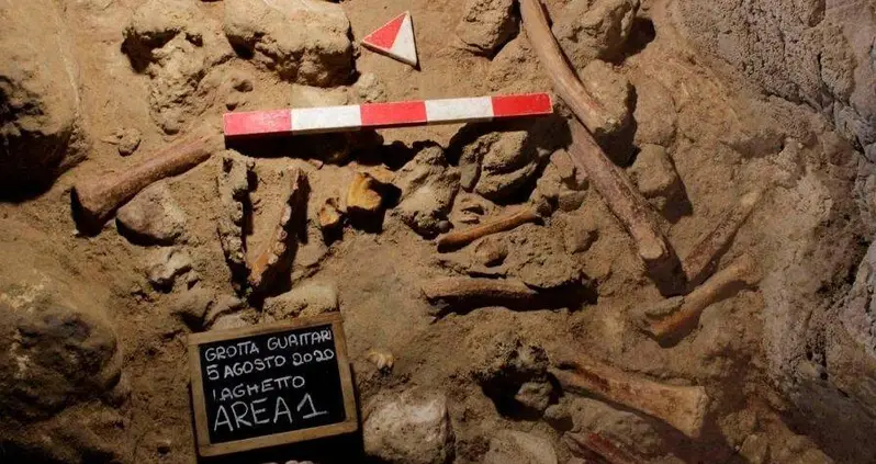 Cave Near Rome Yields Nine Neanderthals That Were Hunted And Eaten By Stone Age Hyenas