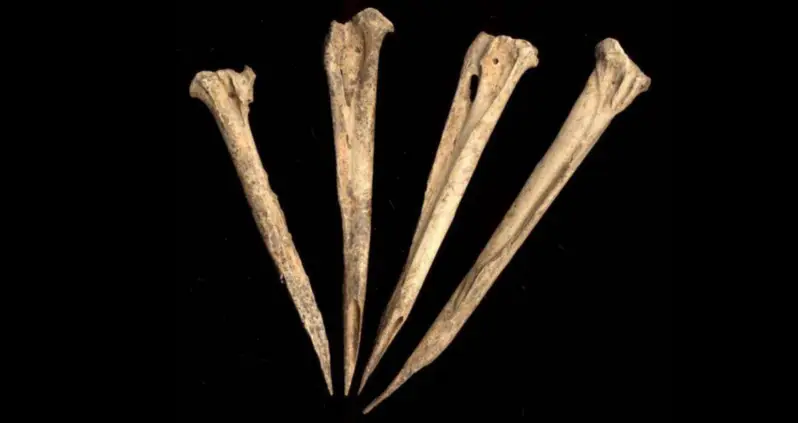 Archaeologists Have Discovered The World’s Oldest Known Tattoo Needles In Tennessee