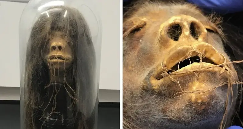 A Shrunken Head Used As A Prop In A 1970s Comedy Turned Out To Be The Real Head Of An Amazon Warrior