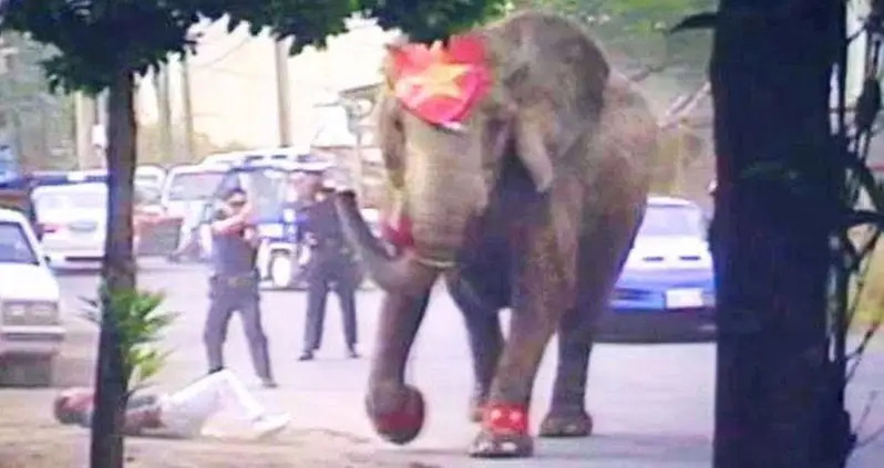 The Tragic Story Of Tyke, The ‘Elephant Outlaw’ Who Was Killed By Police