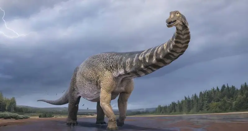 New Dinosaur Species Discovered In Australia Was Long As A Basketball Court And Towered Over T.Rex