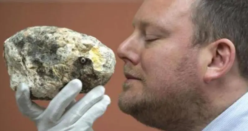 Yemeni Fishermen Find And Sell 280 Pound Chunk Of Whale Vomit — For $1.5 Million