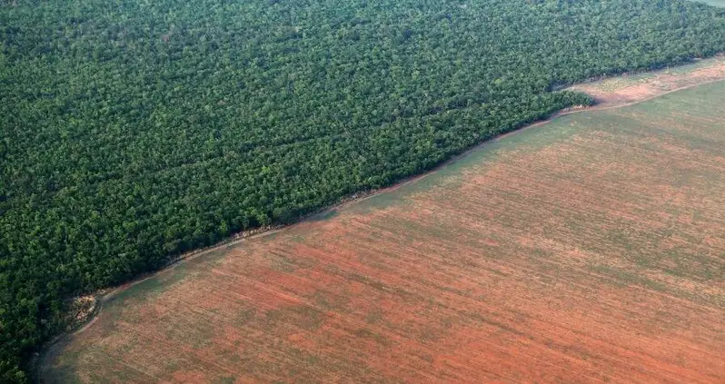 Indigenous Emergency Plan Demands 80 Percent Of Amazon Be Declared Protected Land By 2025