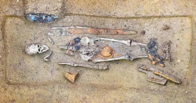 Medieval ‘Hipster’ Warrior Found Buried With Rare Ivory Comb