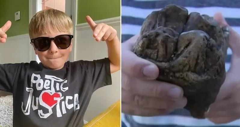 12,000-Year-Old Mastodon Tooth Discovered By Six-Year-Old Boy In Michigan