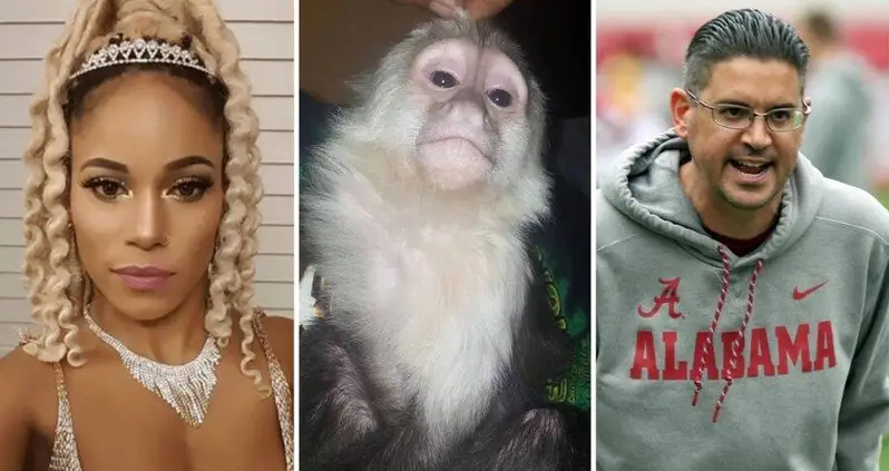 This Pole-Dancing Monkey Belonging To Texas Coach Jeff Banks’ Girlfriend Allegedly Attacked A Child On Halloween