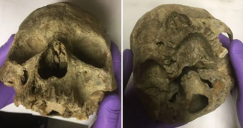 Carbon Dating Just Revealed The ‘Oldest’ British Skull To Be Much Younger — And Possibly A Hoax