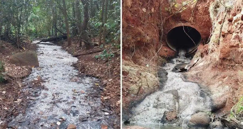 A Hawaiian Hiker Found A Stream Reeking Of Beer — It Turns Out The Water Has An Alcohol Content Of 1.2 Percent