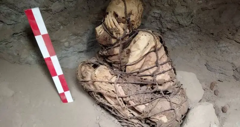 Archaeologists Stumble Across A Rope-Bound Mummy In Peru Likely More Than 800 Years Old