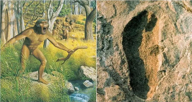 3.7 Million-Year-Old Footprint Found In Africa Linked To Unknown Human Ancestor