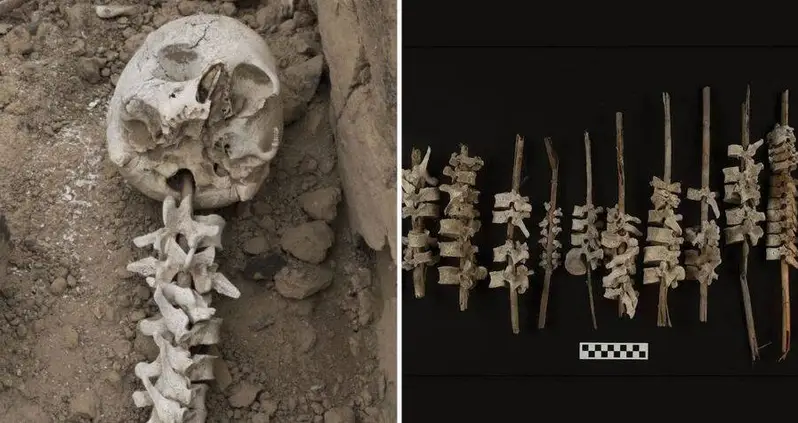 Archaeologists In Peru Discover A 16th-Century Grave Containing Nearly 200 Human Spines Threaded Onto Sticks