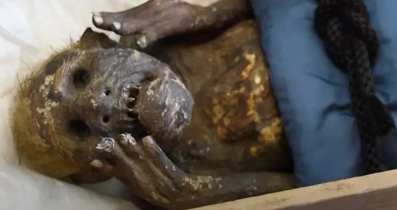 This Centuries-Old ‘Mermaid’ Mummy Housed In A Japanese Temple Is Finally Being Studied By Scientists