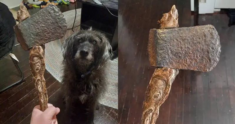 Kansas Man Finds Hatchet Head In Yard — With A Tree Root As A Handle