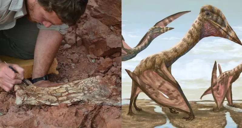 Paleontologists Just Announced The Discovery Of A Terrifying Pterosaur Species They’re Calling The ‘Dragon Of Death’