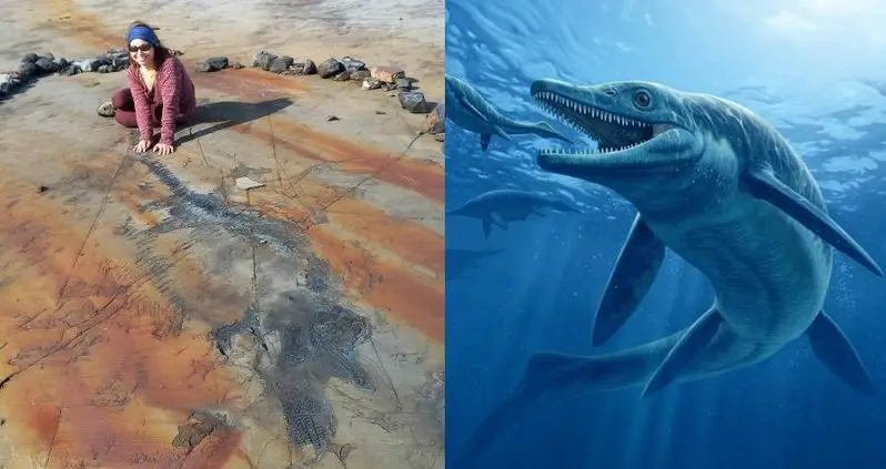 Paleontologists In Chile Just Unearthed A 139-Million-Year-Old Ichthyosaur Fossil — And It Was Pregnant