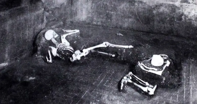 Scientists Just Sequenced The Genome Of A Pompeii Victim For The Very First Time