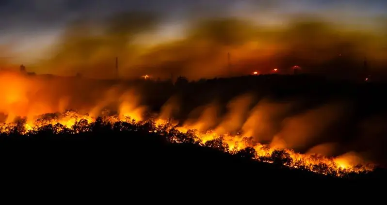 A Devastating Wildfire Is Setting Off Bombs From World War I In Slovenia