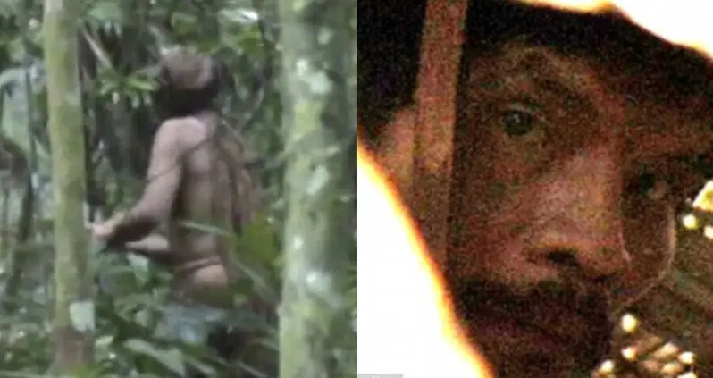 The Last Member Of An Uncontacted Amazon Tribe Has Died After Decades Of Isolation