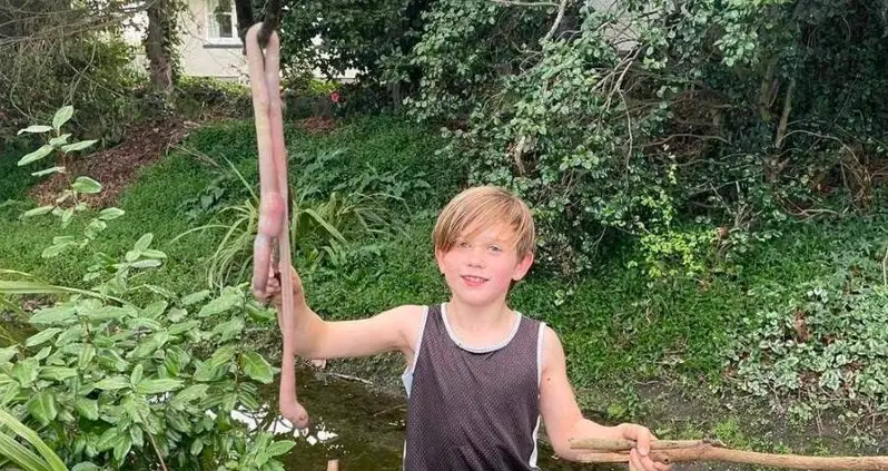 ‘The Stuff Of Nightmares’: New Zealand Boy Finds A Three-Foot Earthworm In His Backyard