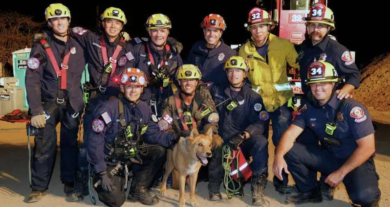 Firefighters Rescue 13-Year-Old Blind Dog After It Stumbled Into A 15-Foot Hole