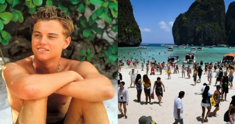 20th Century Fox Will Pay To Clean Up The Beautiful Thai Beach They ‘Destroyed’ While Filming ‘The Beach’