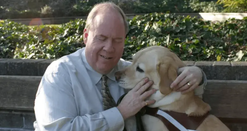 Inside The Harrowing Escape Of 9/11 Survivor Michael Hingson And His Beloved Guide Dog