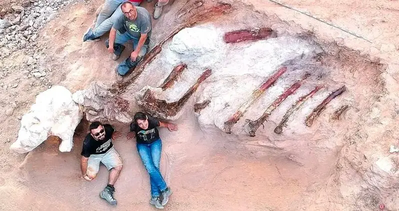 Portuguese Homeowner Stumbles Across Dinosaur Remains In His Backyard — And They Could Be The Largest Ever Found In Europe