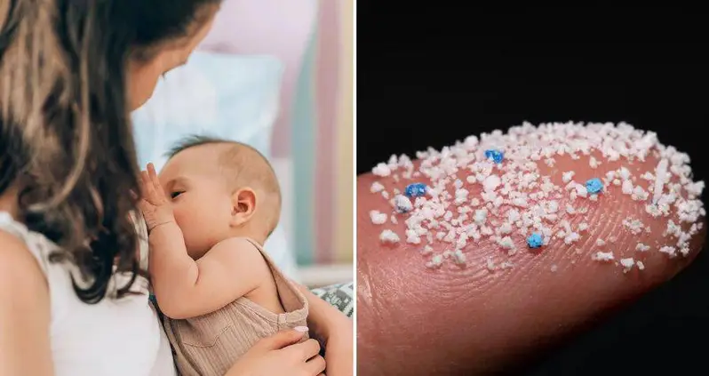 Microplastics Have Been Discovered In Human Breast Milk For The First Time